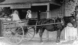 Horse & Cart